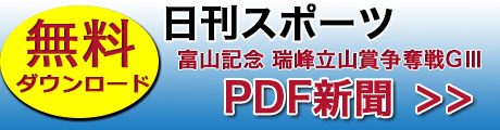 日刊スポーツ新聞