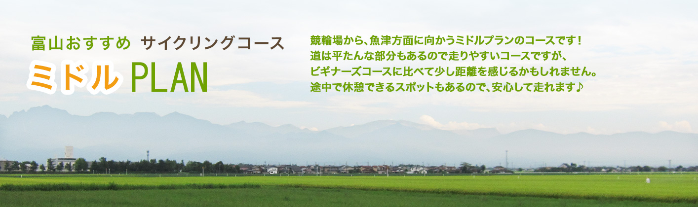 ミドルプラン