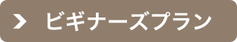 ビギナーズプラン