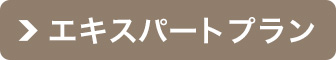 エキスパートプラン